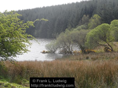 Lough Nasool Drained (2006)